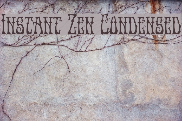 Instant Zen Condensed Font examples