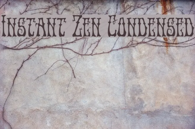 Instant Zen Condensed Example 2