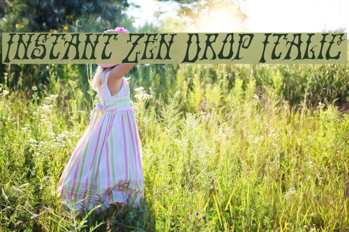Instant Zen Drop Italic Example 3