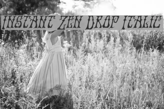 Instant Zen Drop Italic Font examples