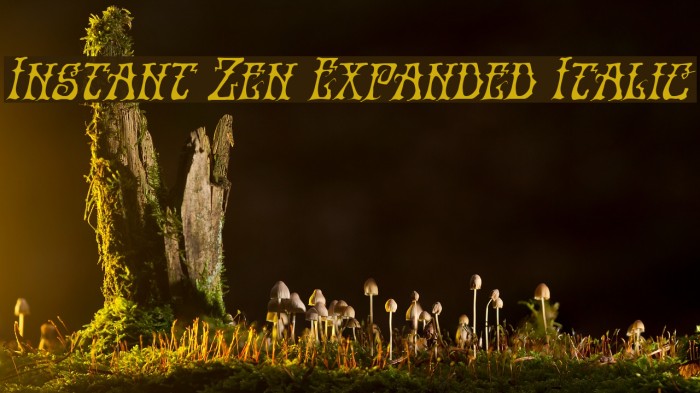 Instant Zen Expanded Italic Font examples
