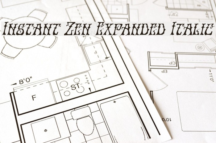 Instant Zen Expanded Italic Font examples