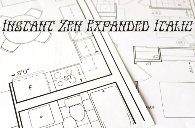 Instant Zen Expanded Italic Example 2