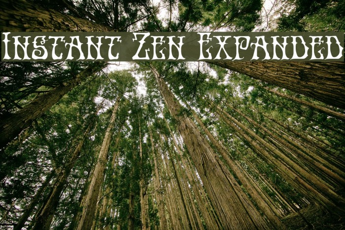 Instant Zen Expanded Example 3