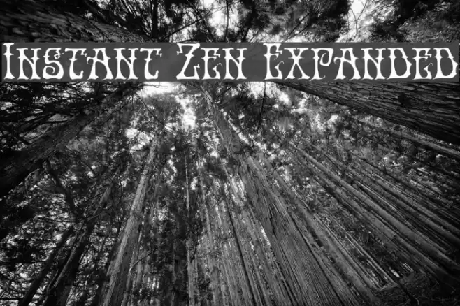 Instant Zen Expanded Font examples