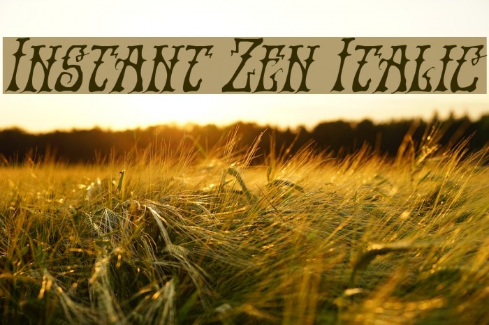 Instant Zen Italic Font examples