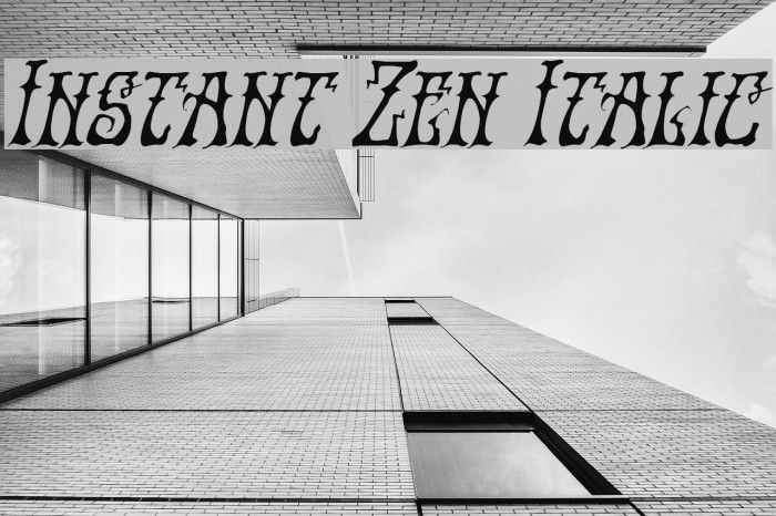 Instant Zen Italic Font examples