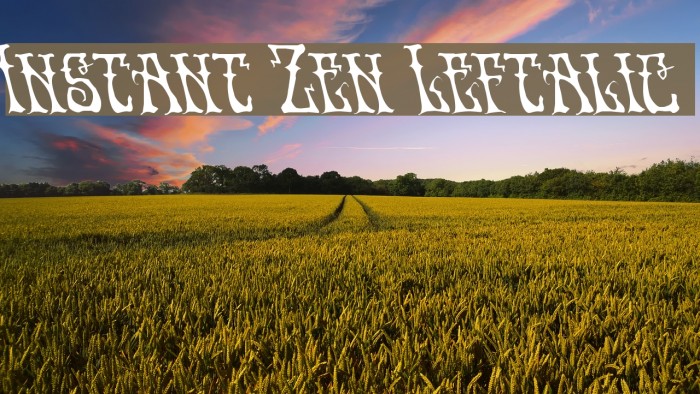 Instant Zen Leftalic Font examples