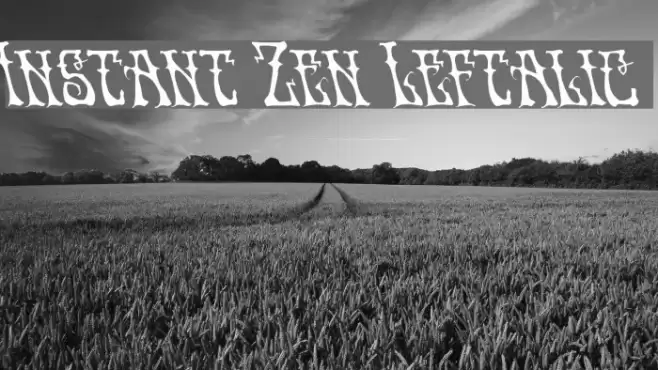 Instant Zen Leftalic Font examples