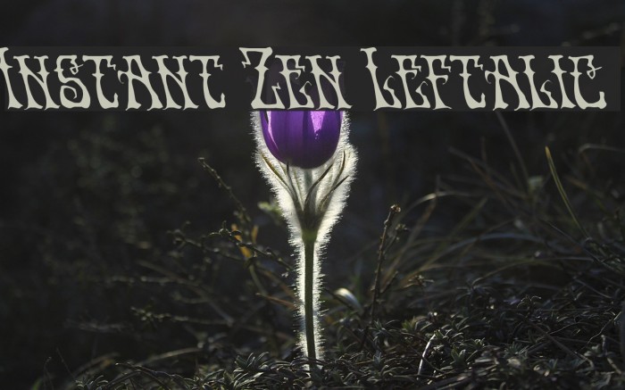 Instant Zen Leftalic Font examples