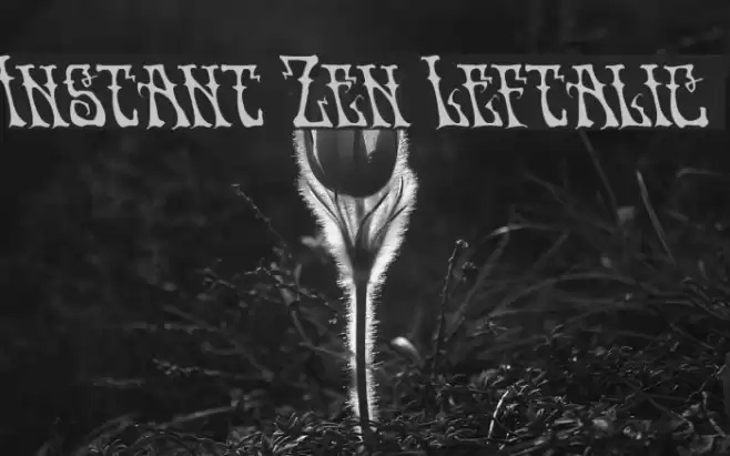 Instant Zen Leftalic Font examples