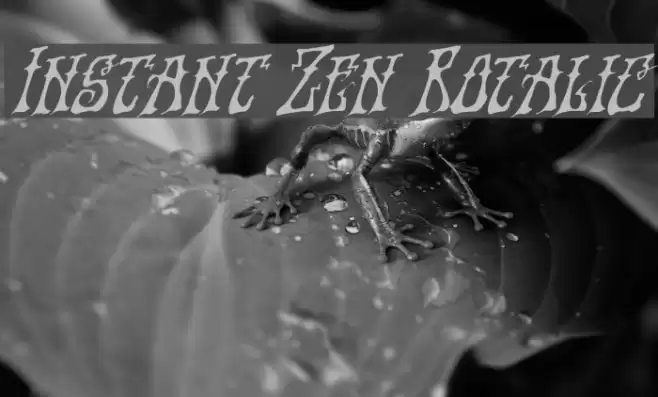 Instant Zen Rotalic Font examples