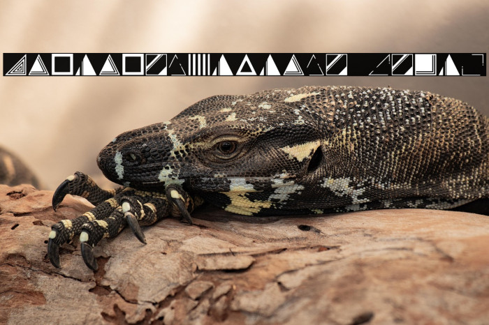 Instantdecoadvance Regular Example 2