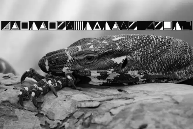 Instantdecoadvance Regular Font examples