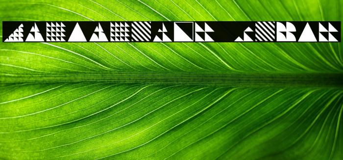 Instantdecor Regular Example 3