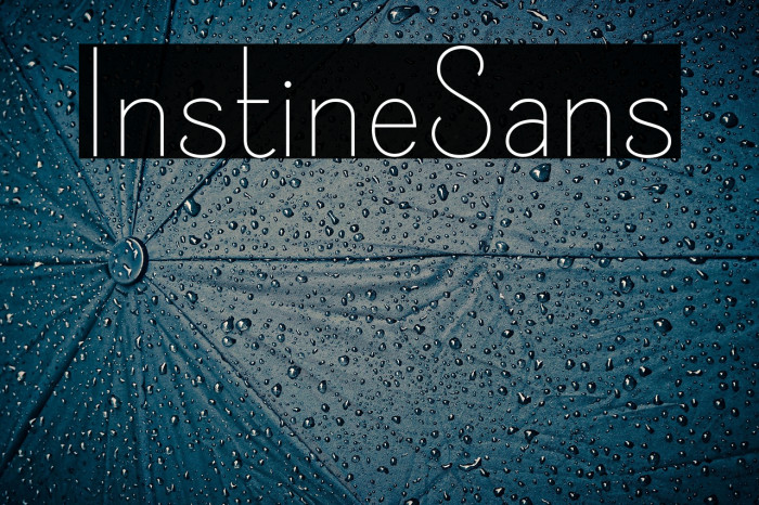 InstineSans Example 2