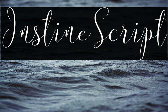 InstineScript Example 1