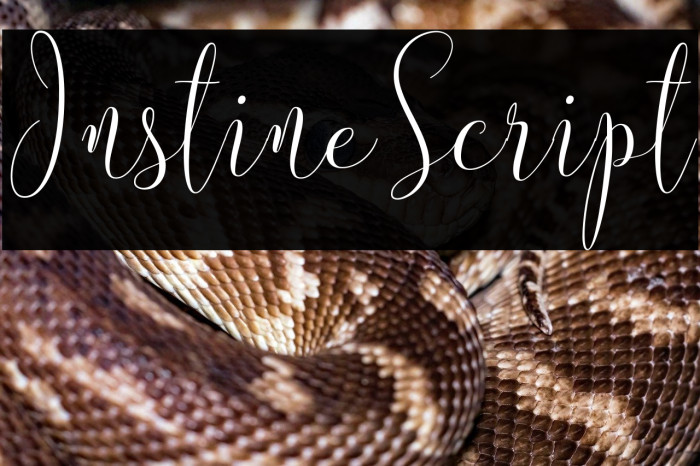 InstineScript Example 3