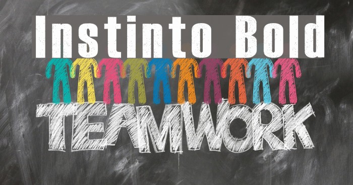 Instinto Bold Font examples