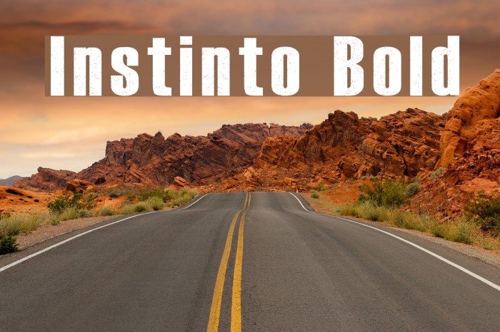 Instinto Bold Font examples
