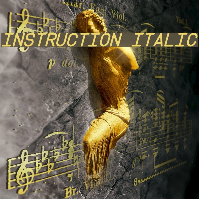 Instruction Italic Font examples