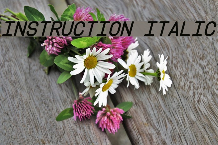 Instruction Italic Font examples