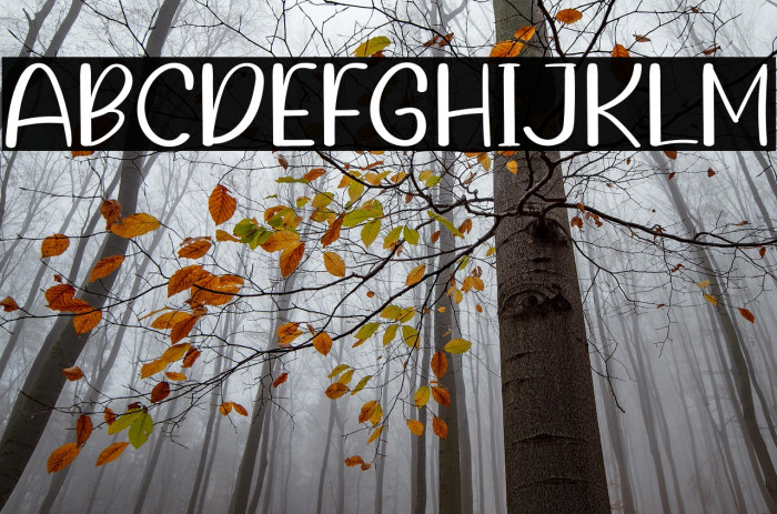 Instruction Example 1