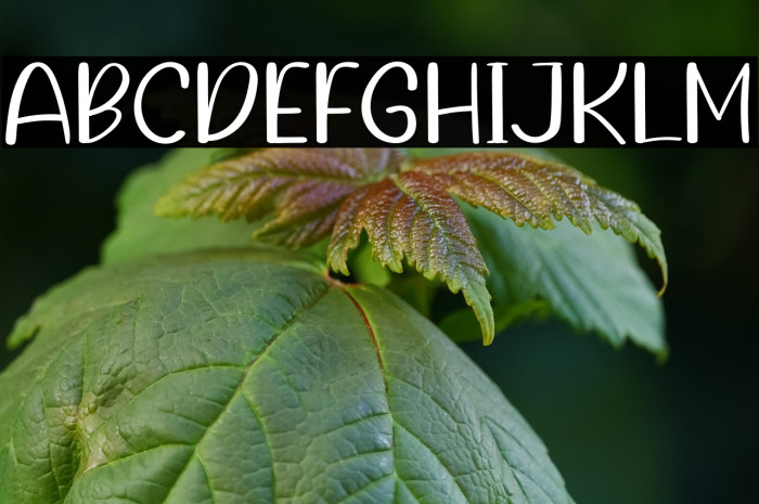 Instruction Example 2