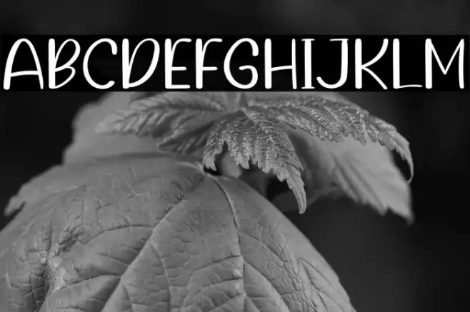 Instruction Font examples