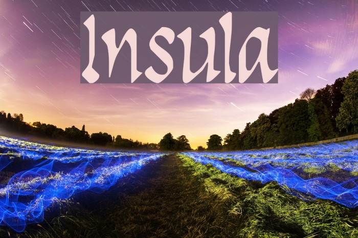 Insula Font examples