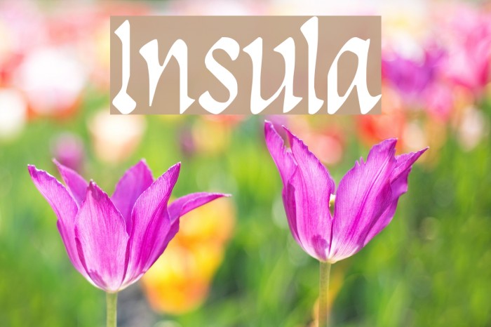 Insula Font examples