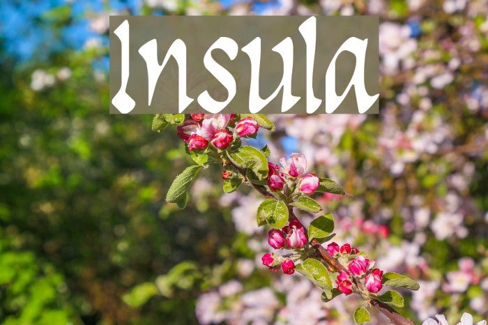 Insula Font examples