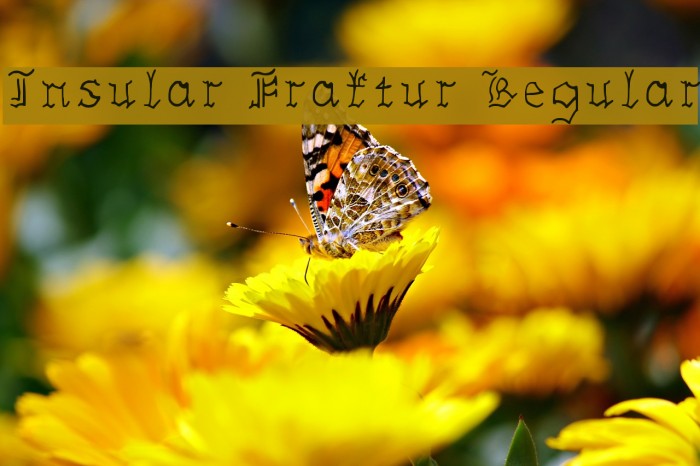 Insular Fraktur Regular Font examples