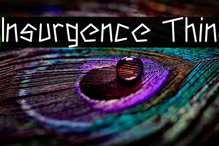 Insurgence Thin Example 1