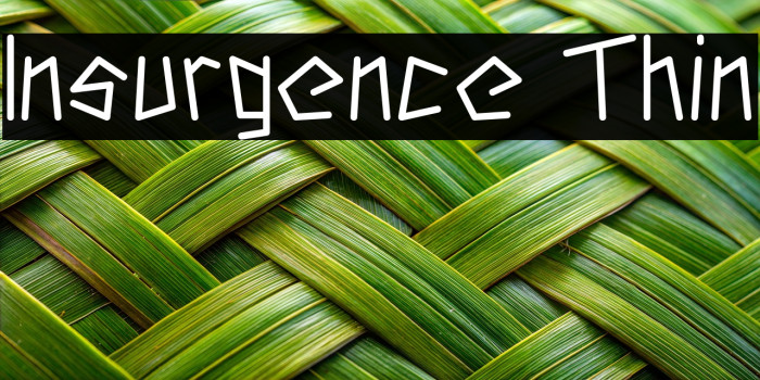 Insurgence Thin Example 2