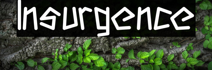 Insurgence Example 1