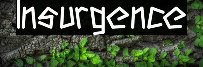 Insurgence Example 1
