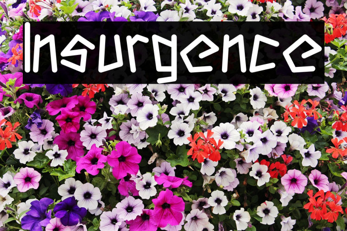 Insurgence Example 1