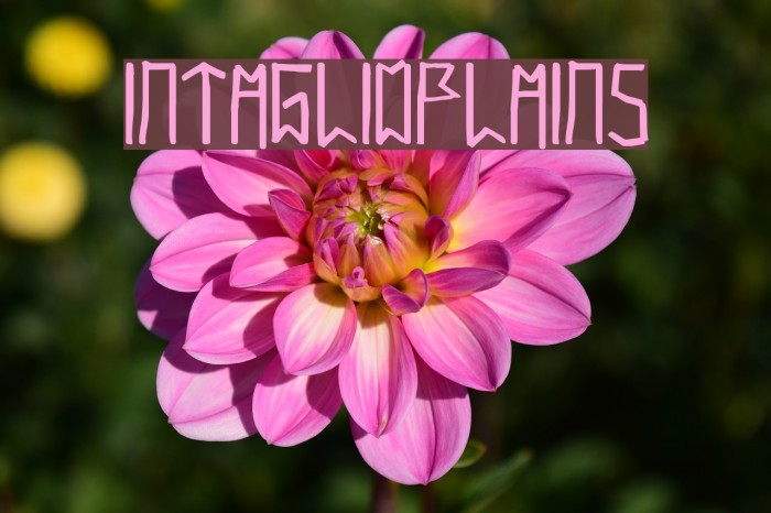 IntaglioPlains Font examples