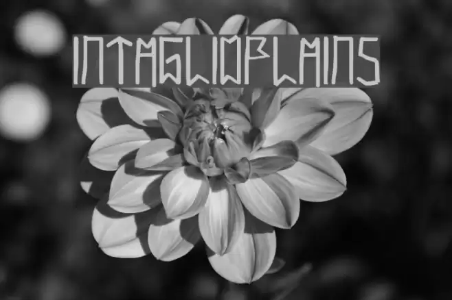 IntaglioPlains Font examples