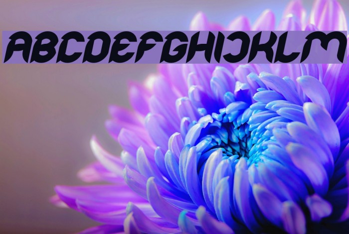 Intan Putri Pratiwi Bold Italic Font examples