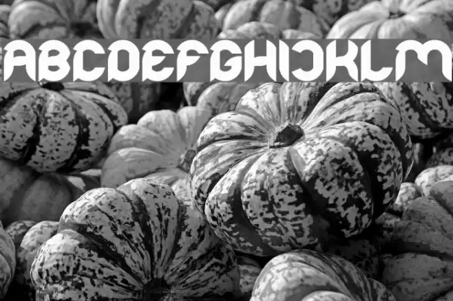 Intan Putri Pratiwi Bold Font examples