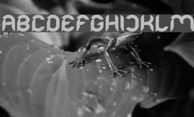 Intan Putri Pratiwi-Light Font examples