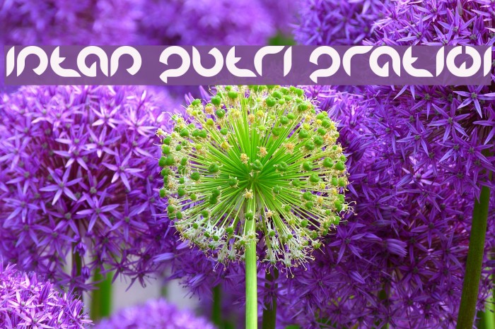 Intan Putri Pratiwi Font examples