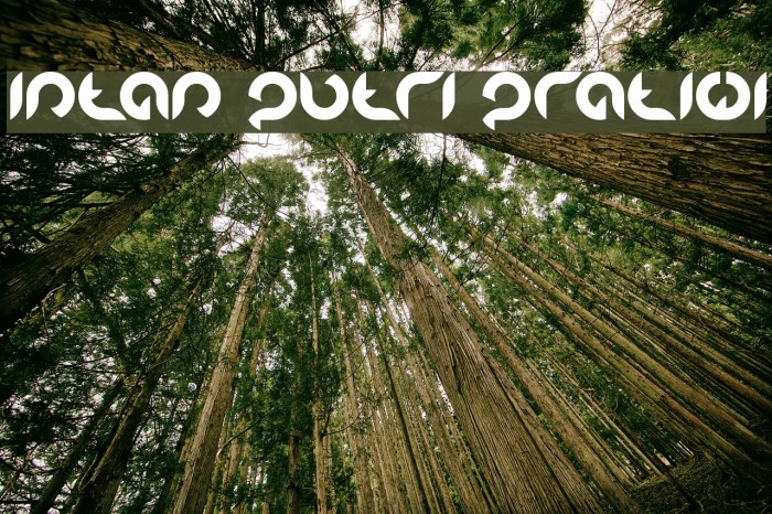 Intan Putri Pratiwi Font examples