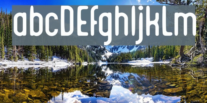 Integra Chic Example 3