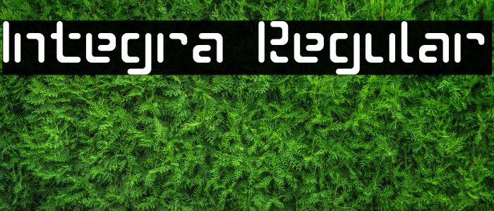 Integra Regular Font examples