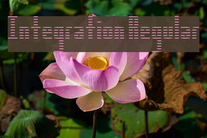 Integration Regular Example 2