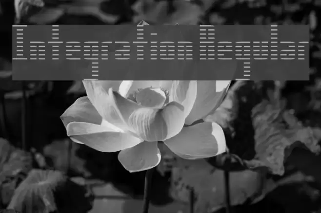 Integration Regular Font examples