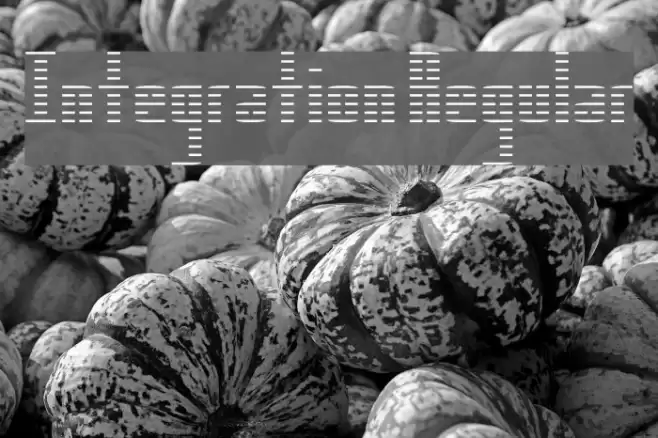 Integration Regular Font examples